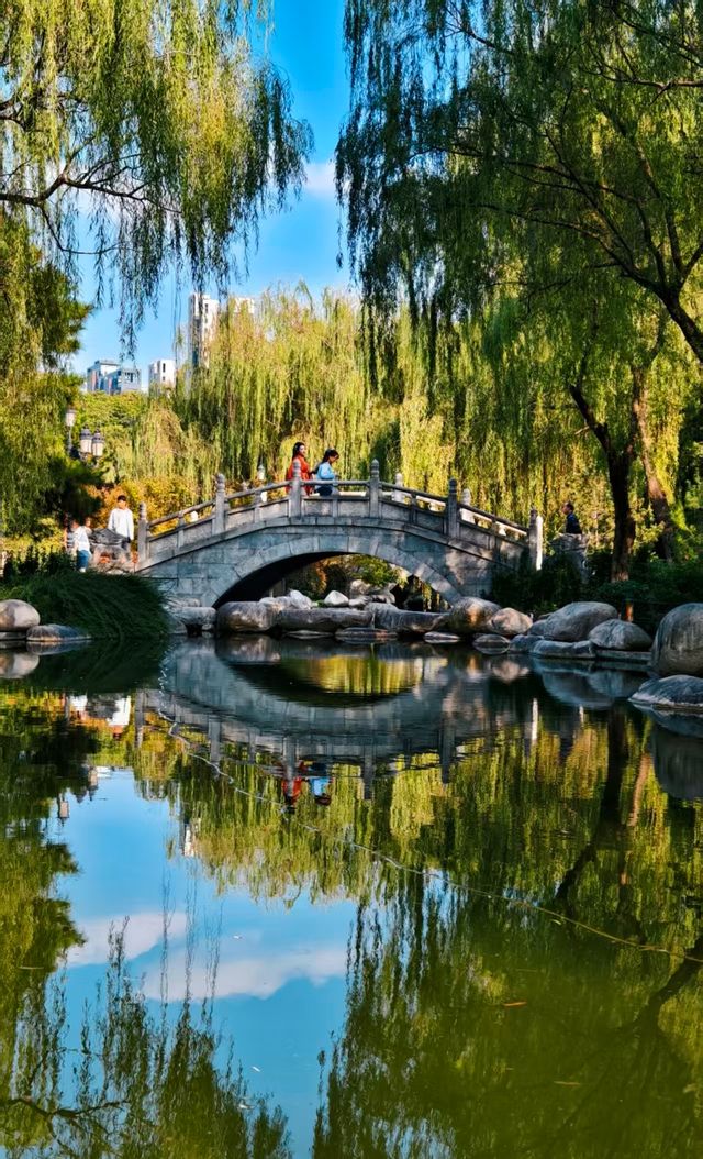 西安‖青龍寺|一花一世界，一步一天涯