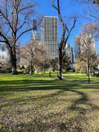 Flagstaff Gardens: Where History Meets Casual Leisure