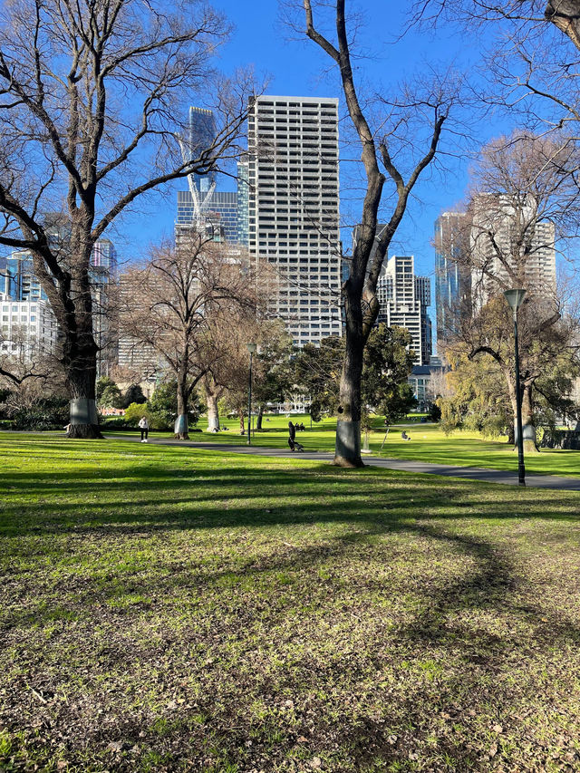 Flagstaff Gardens: Where History Meets Casual Leisure
