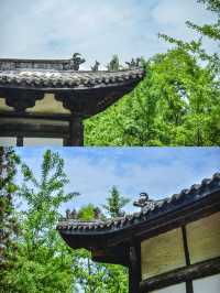四川這座藏在村裡的元代大殿讓我破防了……