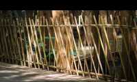昆明被大部分人忽略的水杉公園 | 本地人私藏