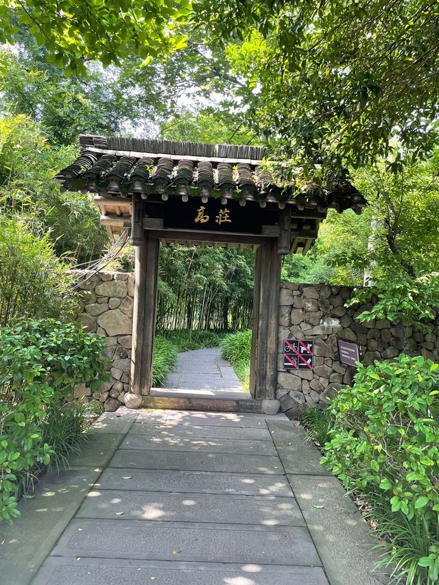 杭州必打卡！西溪濕地絕美江南風光一日遊攻略
