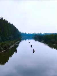守著身邊景，便是好時光！
