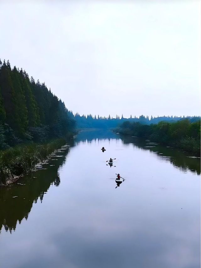 守著身邊景，便是好時光！