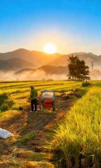 天台山秋色已封神