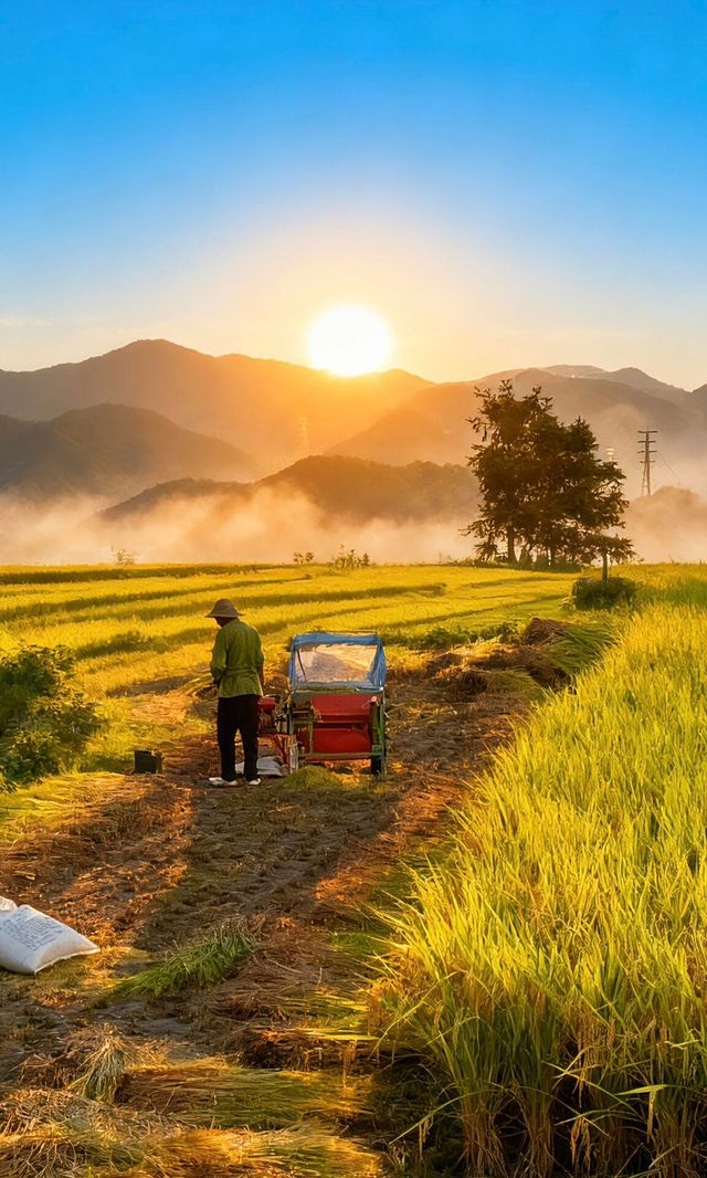 天台山秋色已封神