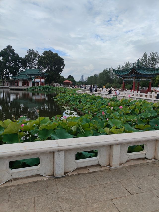 昆明必逛的名樓勝景——大觀樓