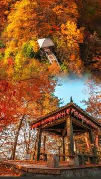 「亞洲最長紅地毯」、「紅葉之鄉」是它的代名詞！