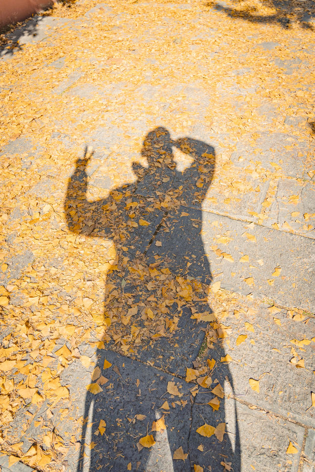 南京毗盧寺的秋天太美了附拍照打卡攻略路線 南京毗盧寺的秋天太美了附拍照打卡攻略路線