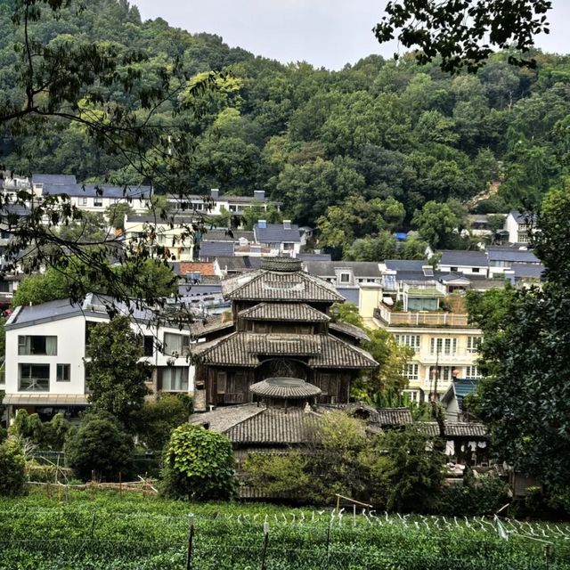 滿覺隴|杭州秋日頂流,藏在山隴間的桂花王國 滿覺隴|杭州秋日頂流,藏在山隴間的桂花王國