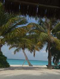 Unforgettable Paradise Stay at a Maldives Resort