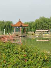 【河南省濮陽市】濮上園景區。