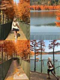 已經開始期待深秋的紹興了！「附地址」