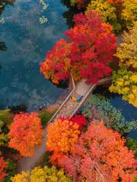 被上帝私藏的調色盤！雲平山秋日秘境遊記