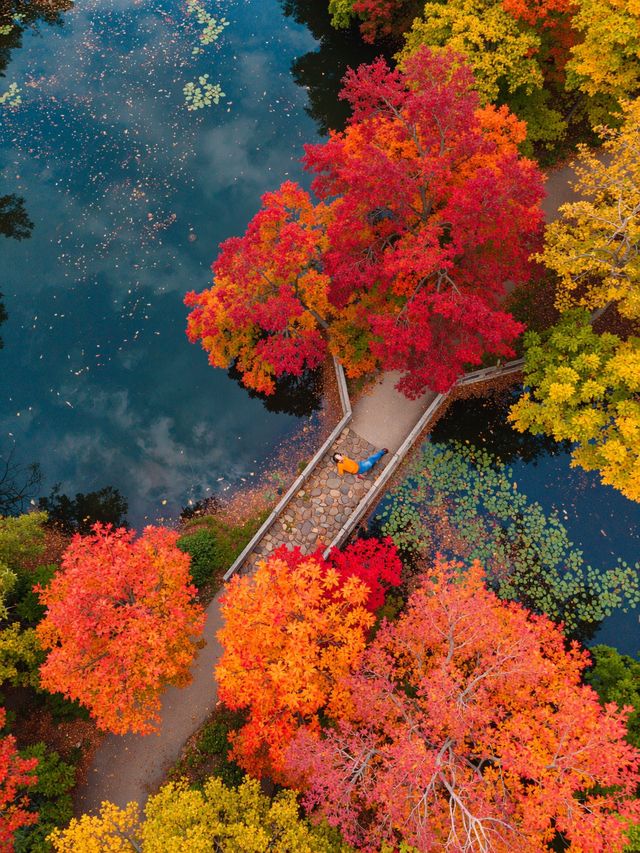 被上帝私藏的調色盤！雲平山秋日秘境遊記