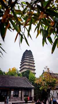 秋日去小雁塔感受歷史的厚重與自然和諧交融吧