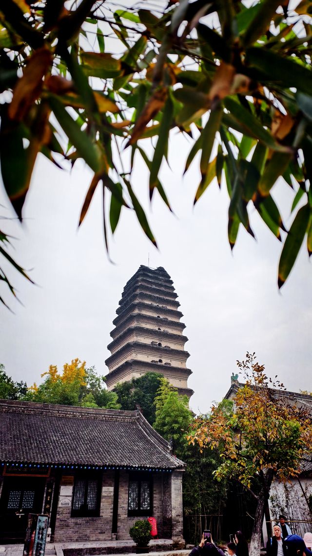 秋日去小雁塔感受歷史的厚重與自然和諧交融吧