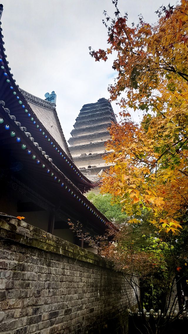 秋日去小雁塔感受歷史的厚重與自然和諧交融吧