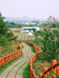 合肥紅石咀|巢湖湖岸線的浪漫日落地