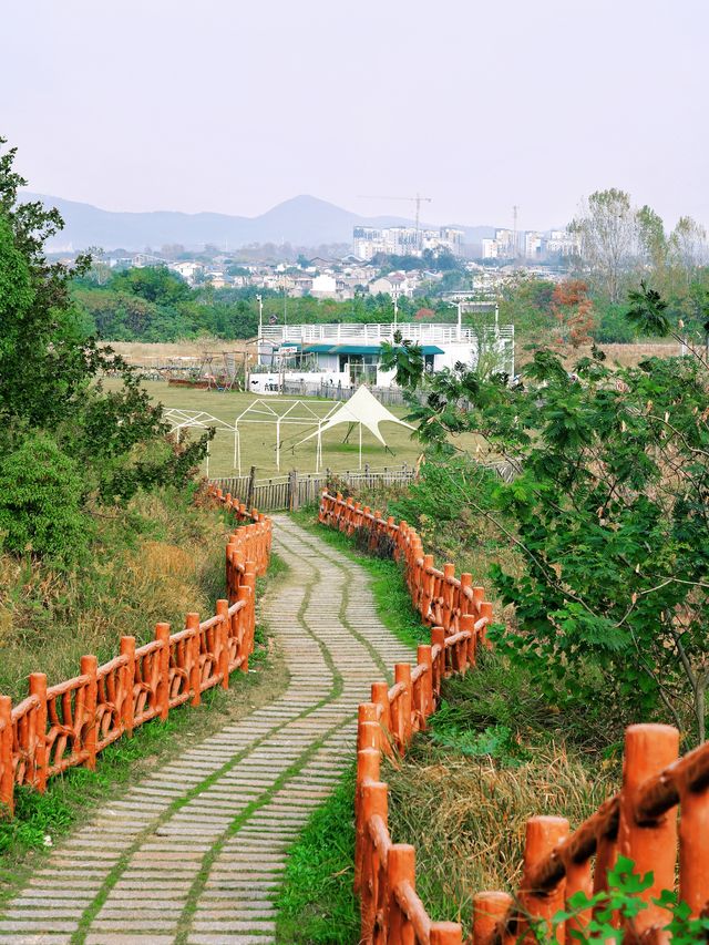 合肥紅石咀|巢湖湖岸線的浪漫日落地 合肥紅石咀|巢湖湖岸線的浪漫日落地