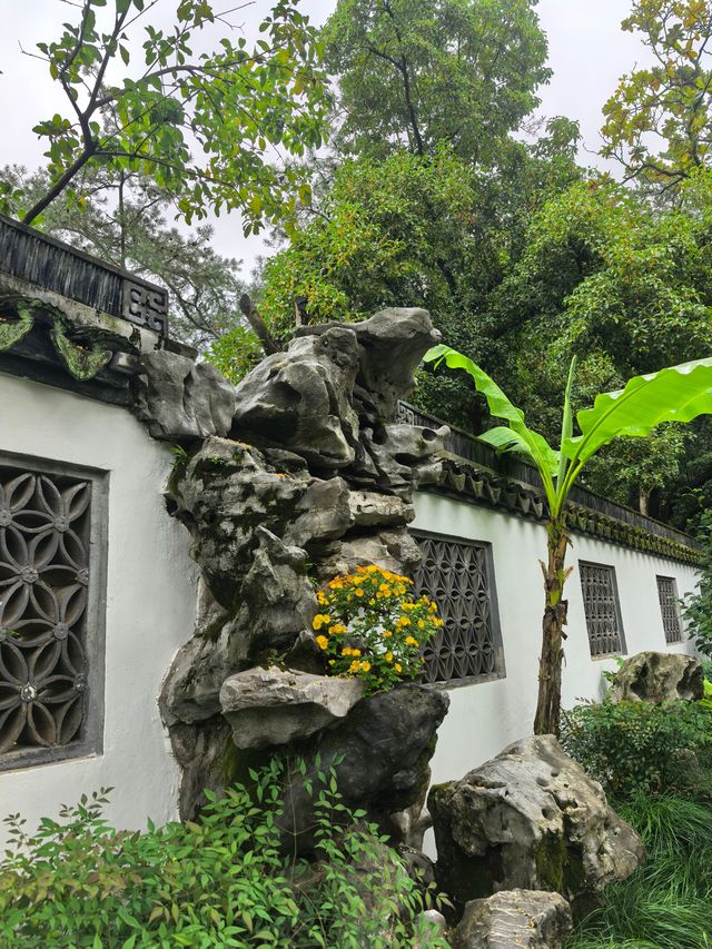 曲水園的菊花展已經幫你們看過了 曲水園的菊花展已經幫你們看過了