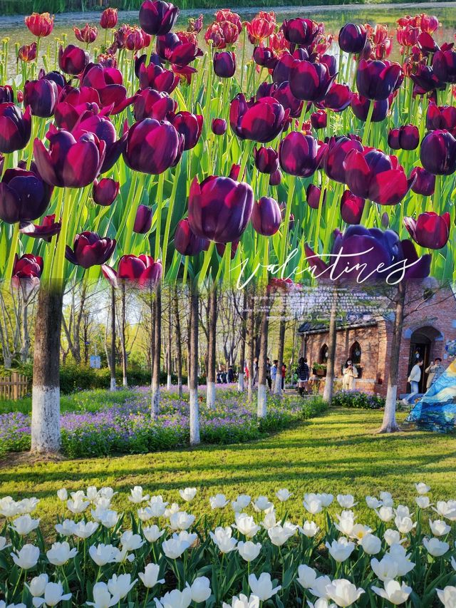 【南京綠博園大揭秘！你不知道的隱藏寶藏，絕對讓你驚喜連連！】 大家好，我是你們的旅遊探秘小達人