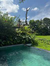 Tranquil Escape at Inara Alas Harum