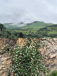 則岔石林,甘南的一顆璀璨明珠,等你來發現