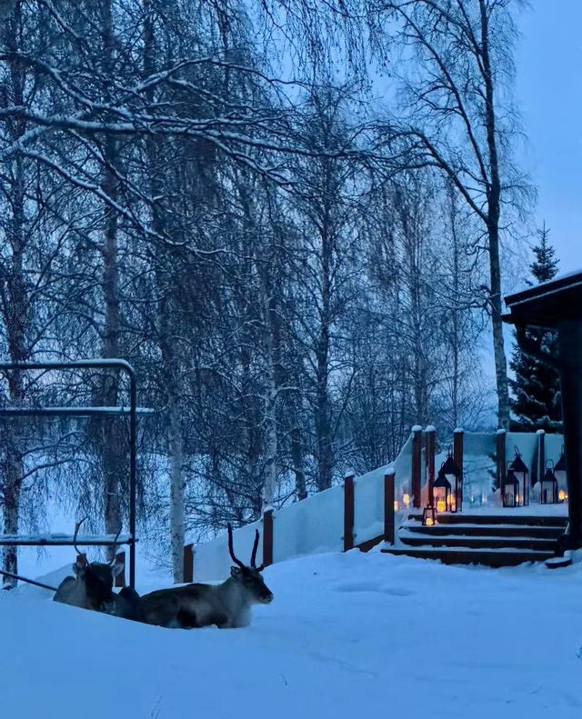 芬蘭冬日童話藍粉天空下的浪漫極光之夜 芬蘭冬日童話藍粉天空下的浪漫極光之夜