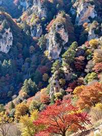 北京秋遊秘境0元紅葉山谷美哭 今年秋天別再擠香山啦!姐妹們,我最近發現了一個寶藏秘境——密雲的