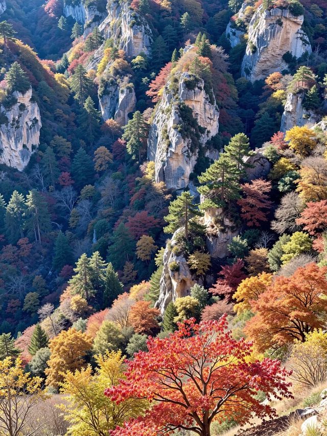 北京秋遊秘境0元紅葉山谷美哭 今年秋天別再擠香山啦!姐妹們,我最近發現了一個寶藏秘境——密雲的 北京秋遊秘境0元紅葉山谷美哭 今年秋天別再擠香山啦!姐妹們,我最近發現了一個寶藏秘境——密雲的