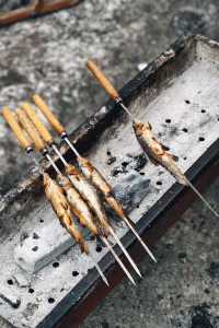 冬日徒步尋蹤野趣