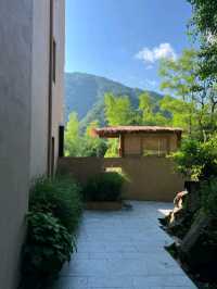 竹林秘境裡的侘寂溫泉美學