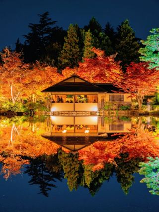 ห้ามพลาดเมื่อมาเยือนโตเกียว! เดินเล่นสุดโรแมนติกในค่ำคืนฤดูใบไม้ร่วงที่สวนโชวะ!