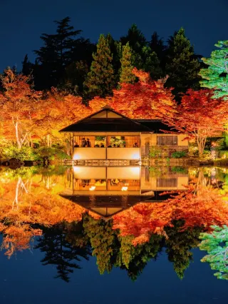 Tachikawa Travel Guide 2026: Top Attractions, Things to do
