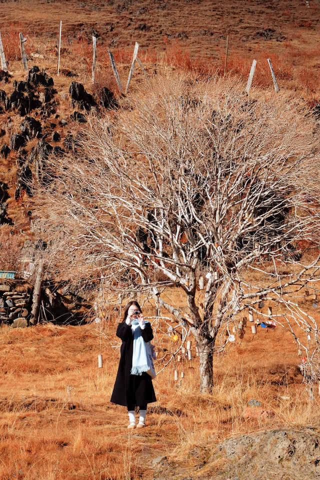 日照金山，雪山彩林，我在川西的油畫世界拍大片！