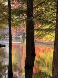 燕雀湖+明孝陵隱藏路線！99%人不知道的絕美秘境