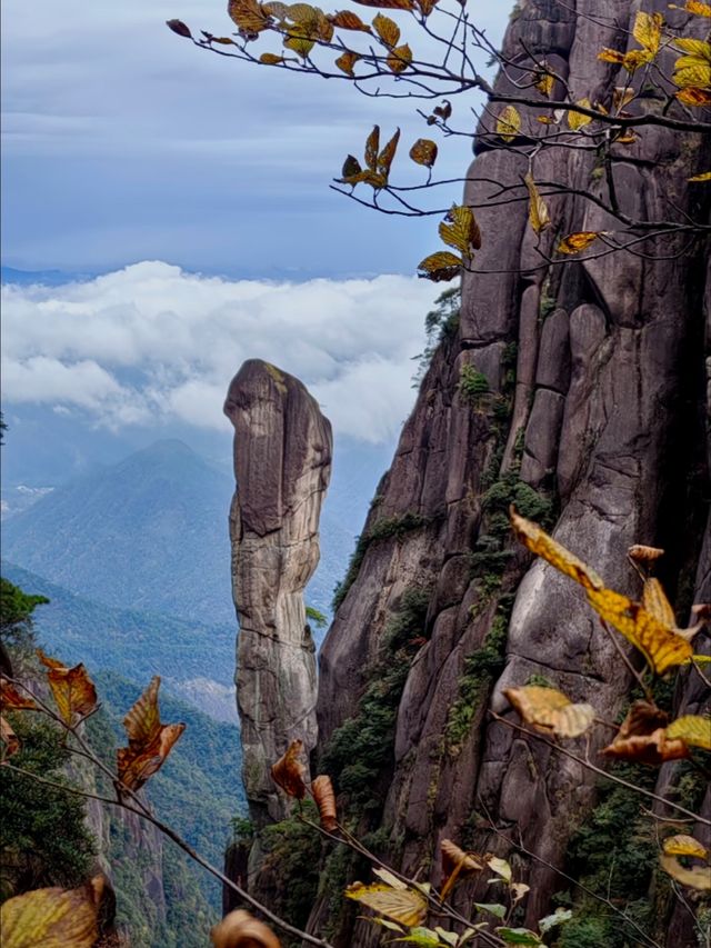 三清山秋日治癒之旅｜雲海奇峰美到窒息