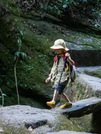 武夷山｜巖骨花香漫遊道｜