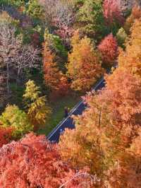 南京99%的人都不知道這裡， 出片還人少