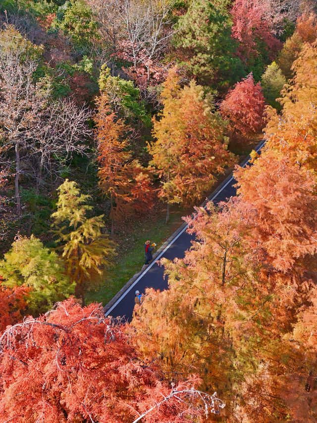 南京99%的人都不知道這裡， 出片還人少