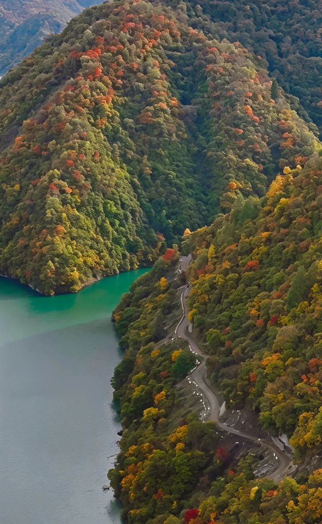 平武天母湖“百里彩林走廊”