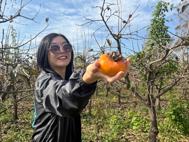 走進一片世外桃源~東灘濕地好美 走進一片世外桃源~東灘濕地好美
