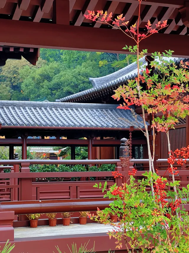 這是我花5蚊雞就能看到的景色？！？！