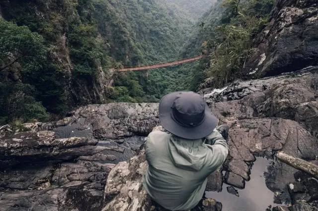 旗山森林公園徒步偶遇猴哥!20km古道+網紅 旗山森林公園徒步偶遇猴哥!20km古道+網紅