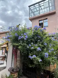 成都至西昌邛海高鐵兩日遊攻略