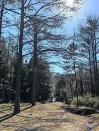 四明山十字褲徒步 上海-餘姚