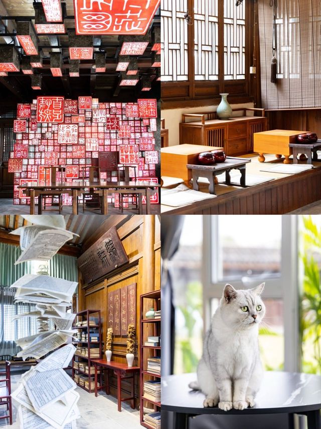 常熟尚湖秋日攻略水上森林+大雁伴飛+萌寵互動超治癒