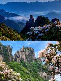 三清山觀日出+賞星空旅遊打卡