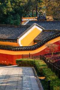 嶽麓書院旁秘徑！長沙秋日打卡天花板